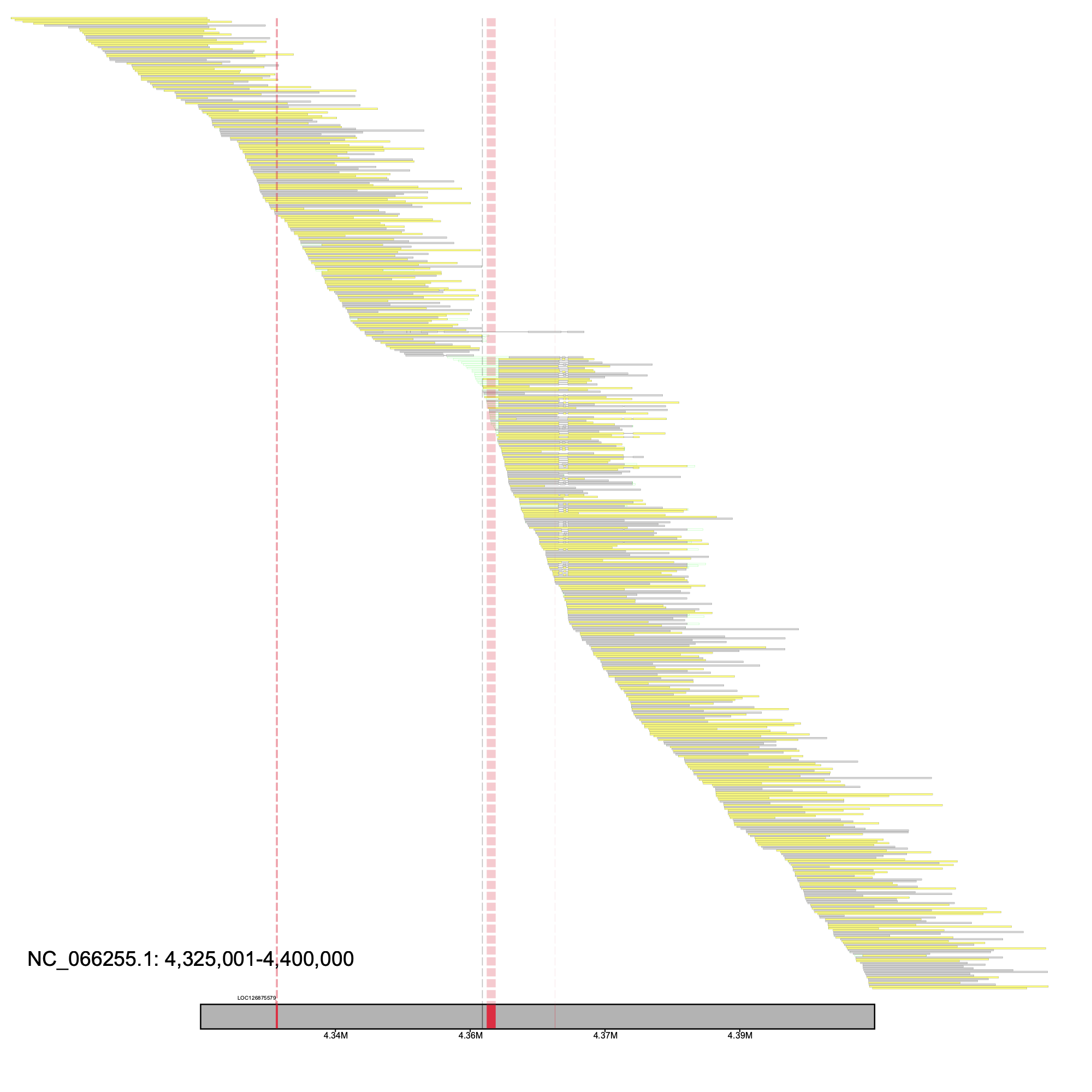 Bhun alignment plot 1