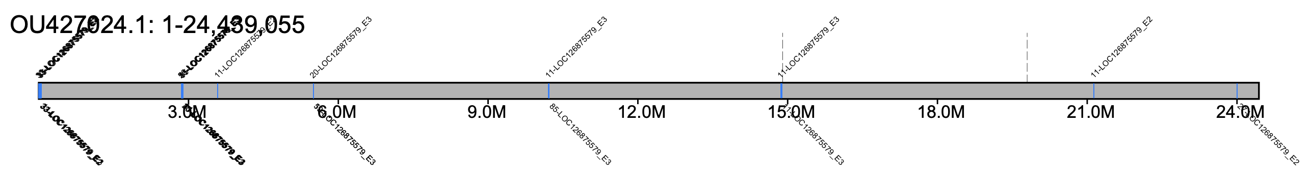 B. hypnorum chromosome 5