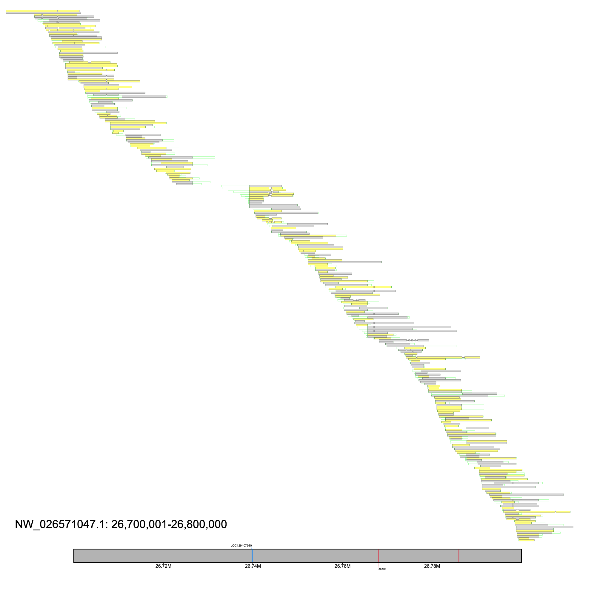 mudskipper unaligned region