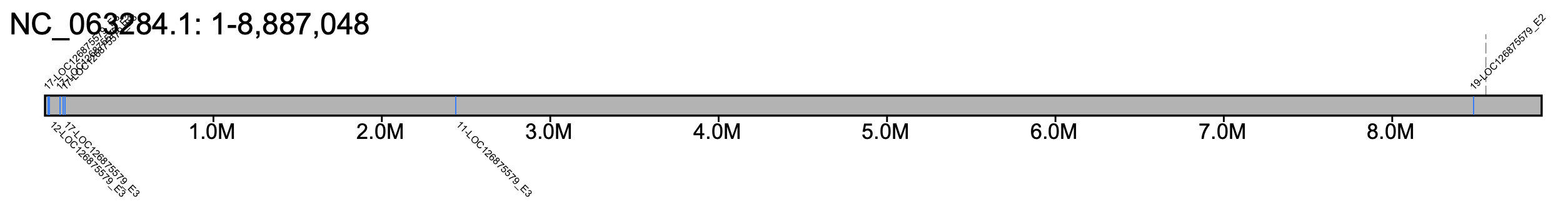 B. terrestris chromosome 16