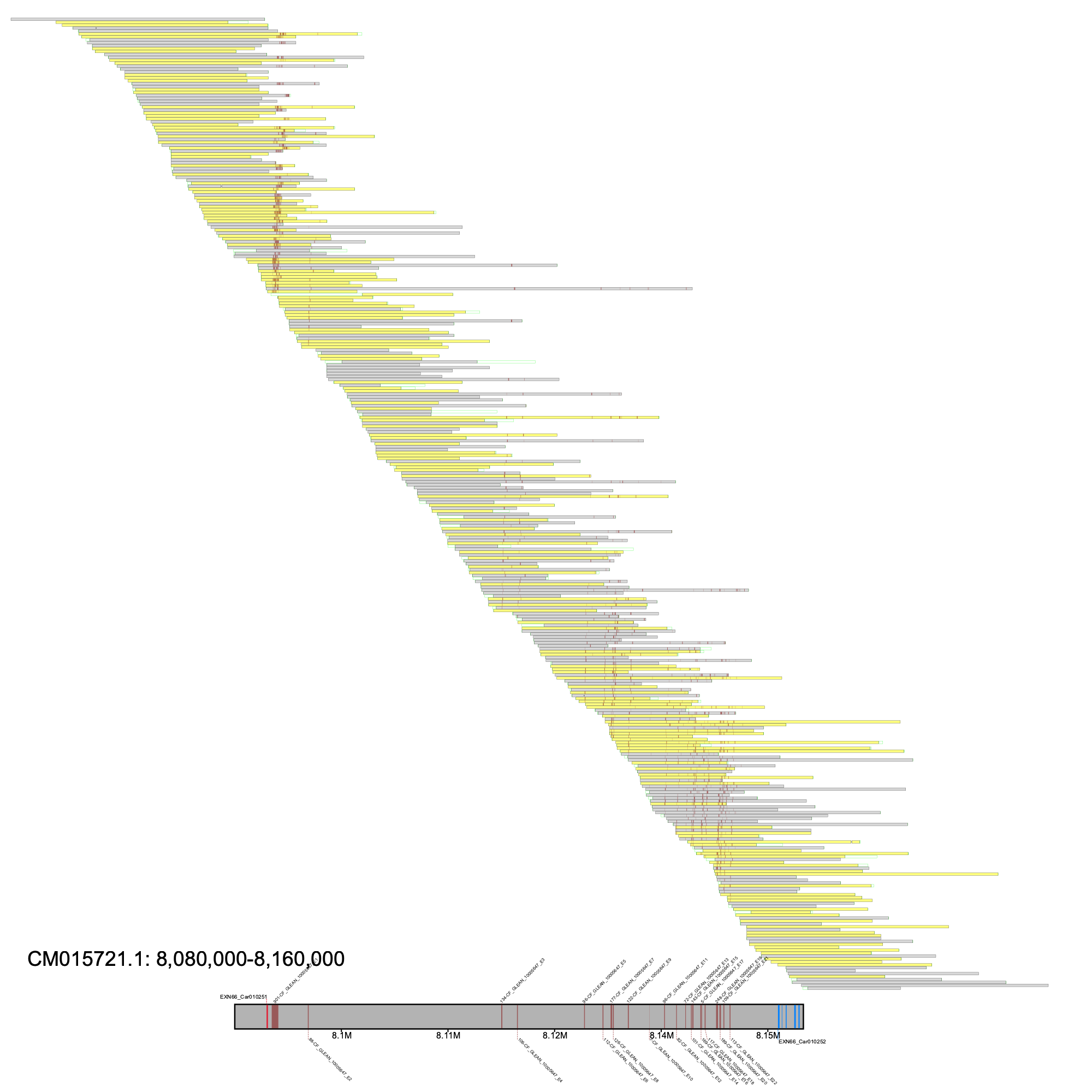 snakehead adcy5 alignment plot