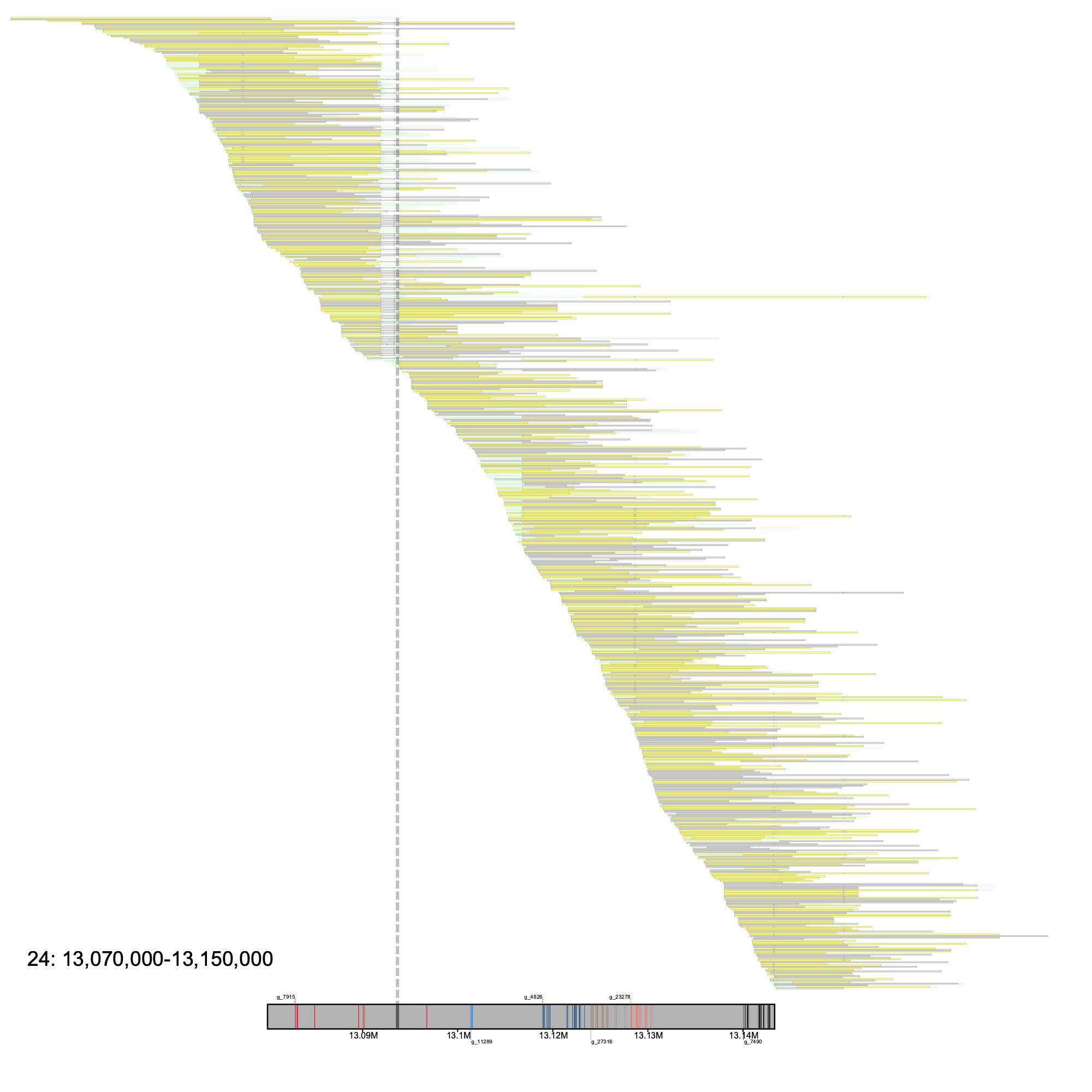 Alignment plot with gaps