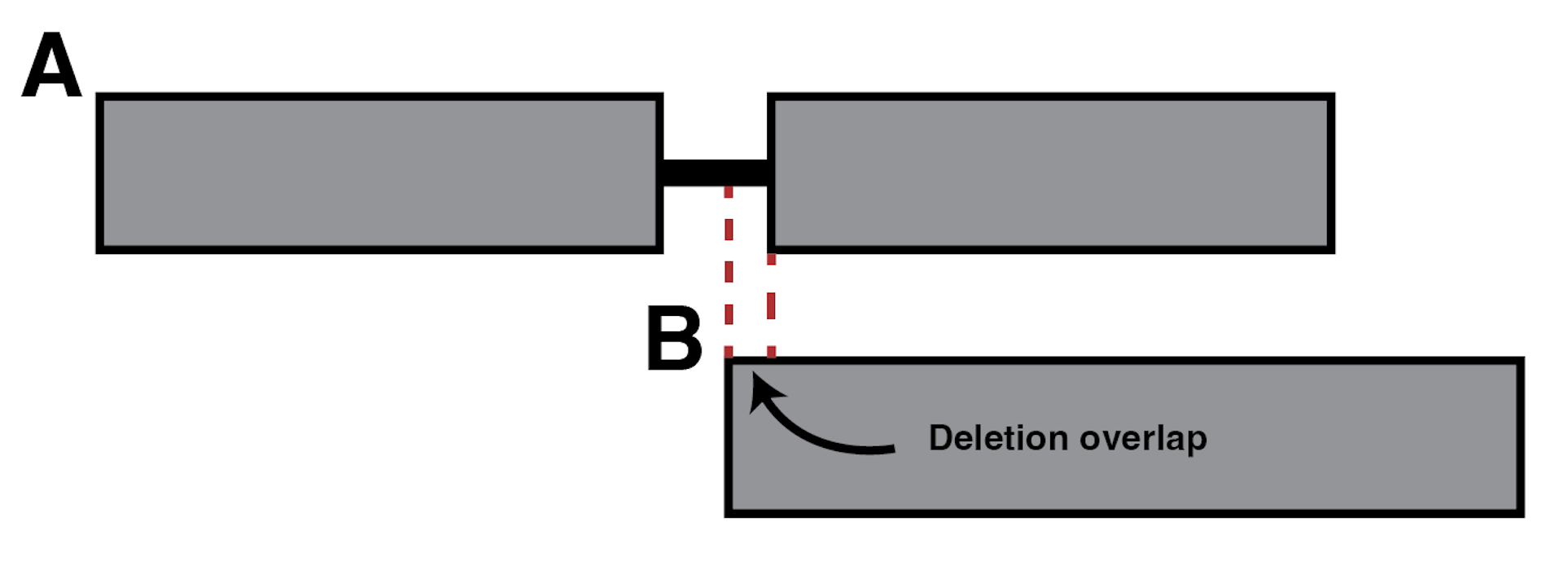 Deletion tolerance