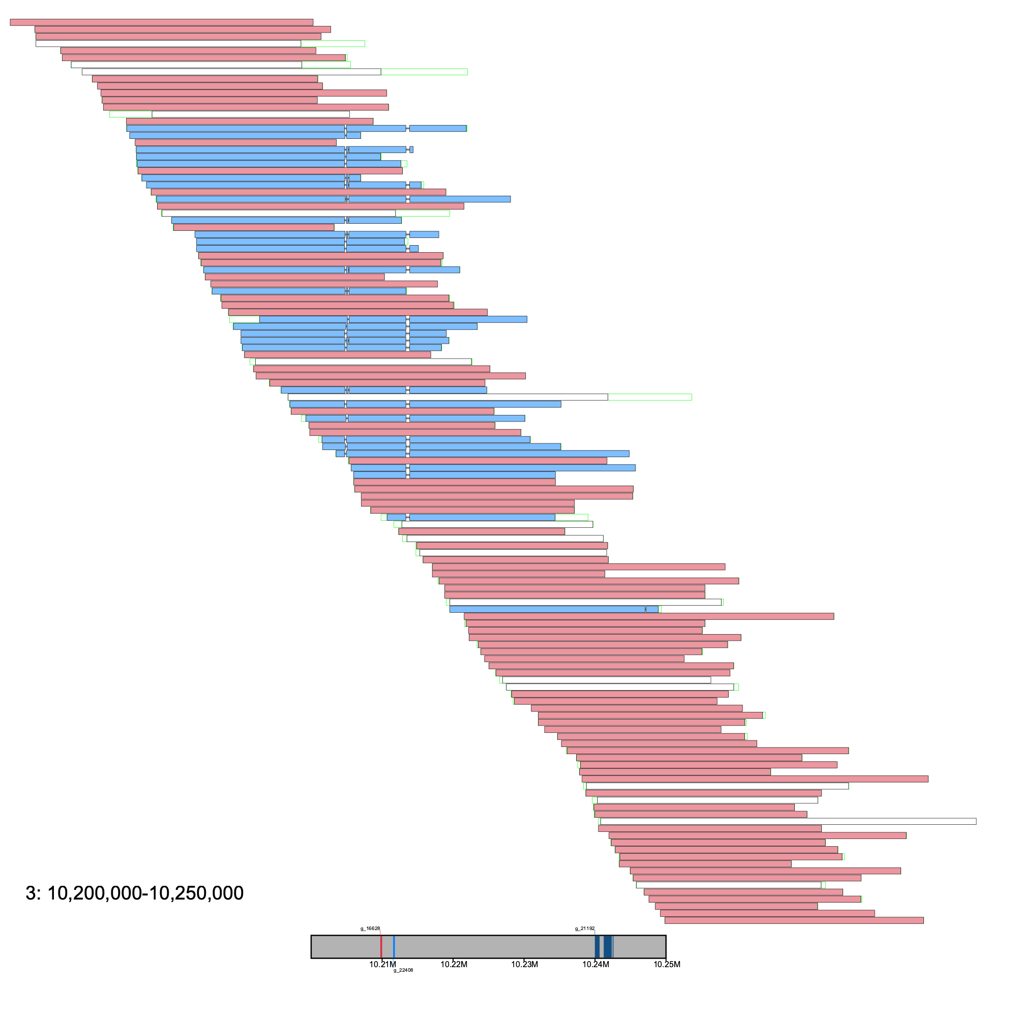 Alignment plot grouping